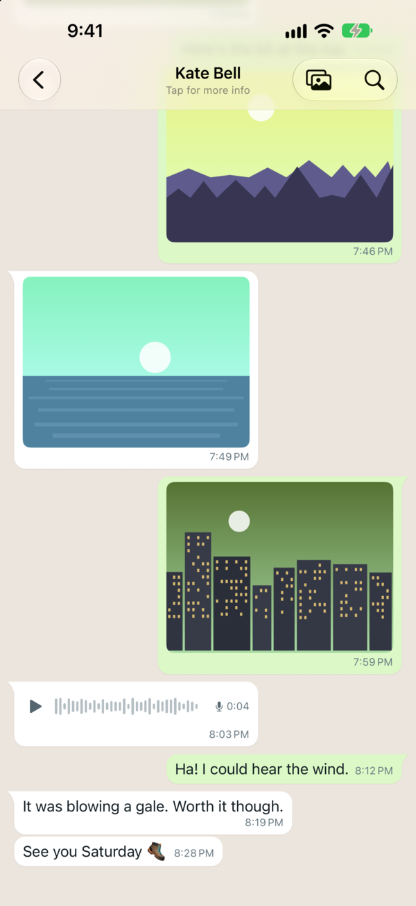 A conversation as it looked in WhatsApp, with photos, a voice note and the date separators.