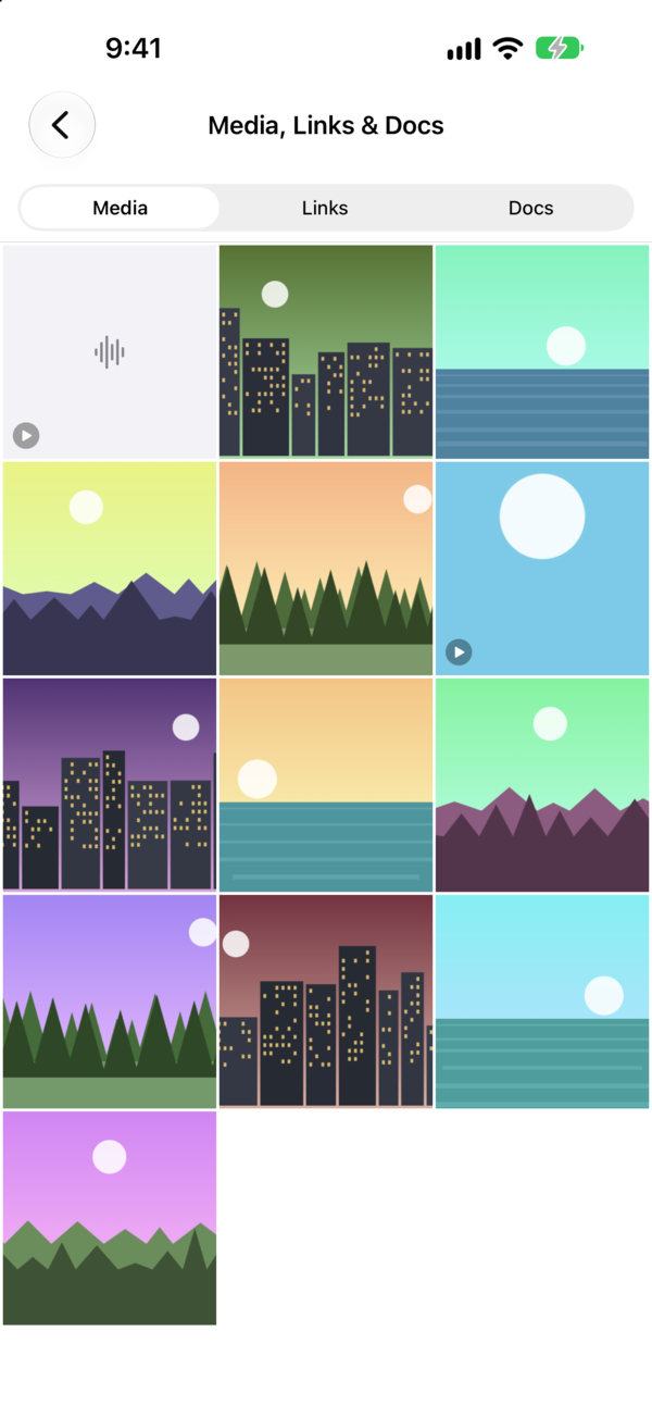 Every photo, video and voice note of a chat in one grid, with tabs for links and documents.